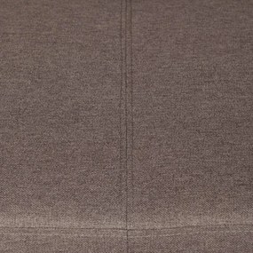 Canapea Extensibila Cu Lada Depozitare Bristoll, Gri, 225 X 88 X 94 Cm