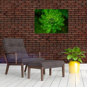 Tablou cu coniferi (70x50 cm)