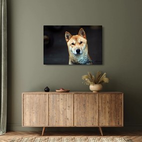 Tablou cu câine (90x60 cm)