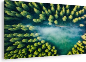 Tablou - O pădure învăluită în ceață (90x60 cm)