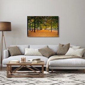 Tablou cu alee cu copaci în toamnă (90x60 cm)