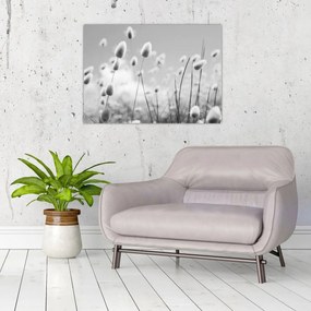 Tablou pe sticlă - Boho iepuraș coadă de iarbă (70x50 cm)