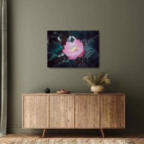 Tablou pe sticlă cu floare roz (70x50 cm)