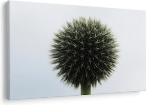 Tablou - Sfere de flori (90x60 cm)