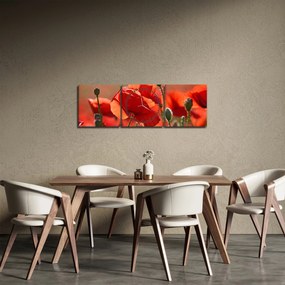 Tablou cu flori de maci (cu ceas) (90x30 cm)