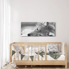 Tablou - Lup,alb-negru (120x50 cm)