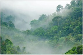Tablou - Ceața de dimineață (90x60 cm)