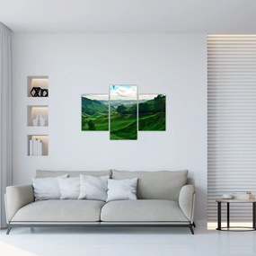 Tablou Plantații de ceai - Malaezia (90x60 cm)