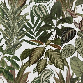 Fototapet, Mischievous Jungle, White, Rebel Walls