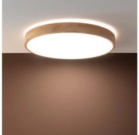 Brilliant - Plafonieră LED dimerizabilă SLIMLINE LED/60W/230V + telecomandă