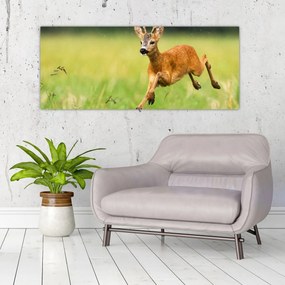 Tablou - Haită (120x50 cm)