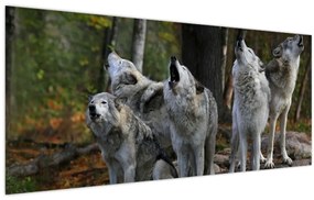 Tablou - Lupii de pe stâncă (120x50 cm)