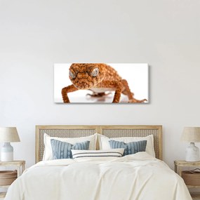 Tablou cu șopârlă (120x50 cm)
