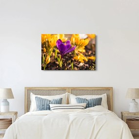 Tablou cu floare violetă (90x60 cm)