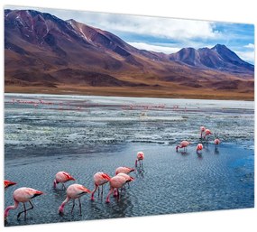 Tablou - Flamingo (70x50 cm)