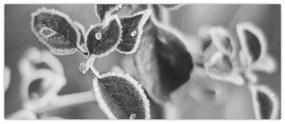 Tablou - Natura în toamnă (120x50 cm)