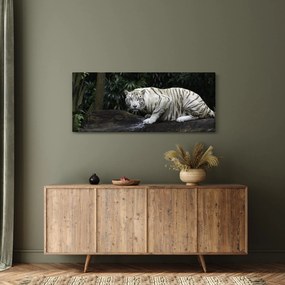 Tablou - Tigru alb (120x50 cm)