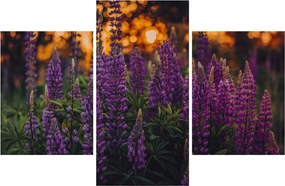 Tablou - Flori de lupin (90x60 cm)
