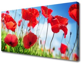 Tablou pe panza canvas Poppy Iarbă Natura Roșu Verde