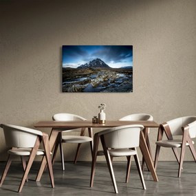 Tablou cu munții și tigrul (90x60 cm)