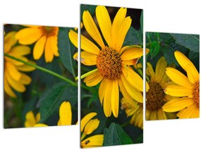 Tablou cu flori galbene (90x60 cm)
