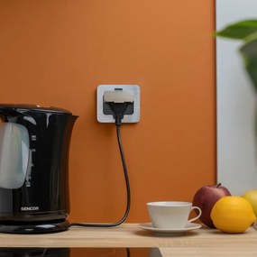 Priză încastrabilă de podea de exterior Brilagi IP55 crom mat dreptunghiular