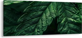 Tablou - Detaliu al foii (120x50 cm)