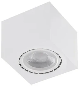 Spot aplicat de tavan/plafon ECO ALEX V2 alb