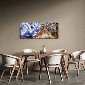 Tablou cu lup (120x50 cm)