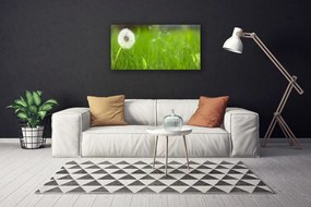 Tablou pe panza canvas Pusteblume Iarbă Floral Alb Verde