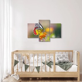 Tablou - Fluture pe floare (90x60 cm)