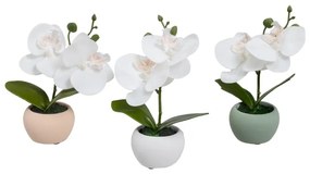 Plante artificiale 3 buc. (înălțime 15 cm) Orchid – Casa Selección