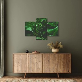 Tablou - Frunze de palmier (90x60 cm)