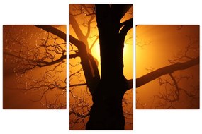 Tablou cu copac în apus de soare (90x60 cm)