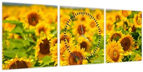 Tablou - Floarea-soarelui (cu ceas) (90x30 cm)