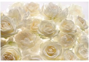Fototapet trandafiri albi Aroma de Shalimar
