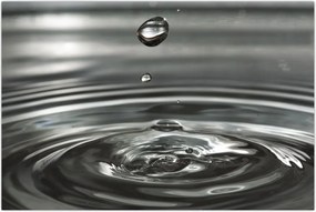 Tablou - Picături de apă (90x60 cm)