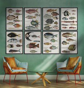 Tablou Framed Art Poissons Ecrevis IV