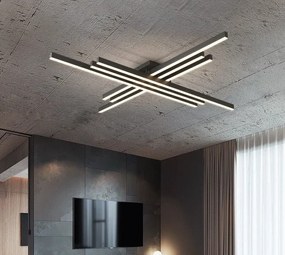 Lustra LED Holly Two, Cu Telecomanda, 3 Tipuri De Lumina, Intensitate Reglabila, 146W, Black