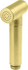 BIDETTA - Pară de Duș pentru Baterii de Bideu finisaj auriu periat - XDCJ4SRS1