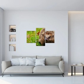 Tablou cu arici (90x60 cm)