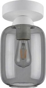 BRILAGI - Lampă LED de tavan R GLASS 1xE27/60W/230V Ø 14 cm alb/gri fumuriu