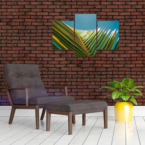Tablou - Frunze de palmier (90x60 cm)