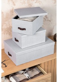 Cutii de depozitare gri-deschis 3 buc. din carton cu capac 31x47x15 cm Inge – Bigso Box of Sweden