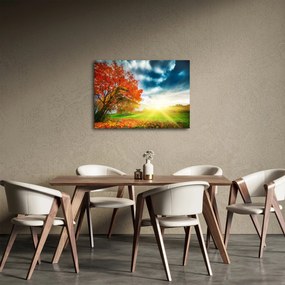 Tablou peisaj cu scufundat în razele solare (70x50 cm)