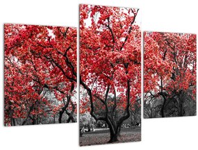 Tablou - Copacii roșii, Central Park, New York (90x60 cm)