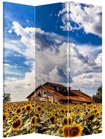 Paravan - Câmp de floarea soarelui (126x170 cm)