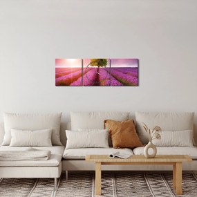 Tablou câmp cu lavandă (cu ceas) (90x30 cm)
