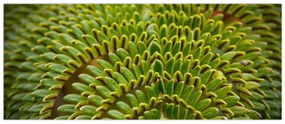 Tablou - Fern (120x50 cm)