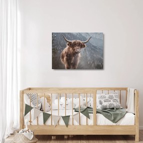 Tablou pe sticlă - Vaca Highlander (70x50 cm)